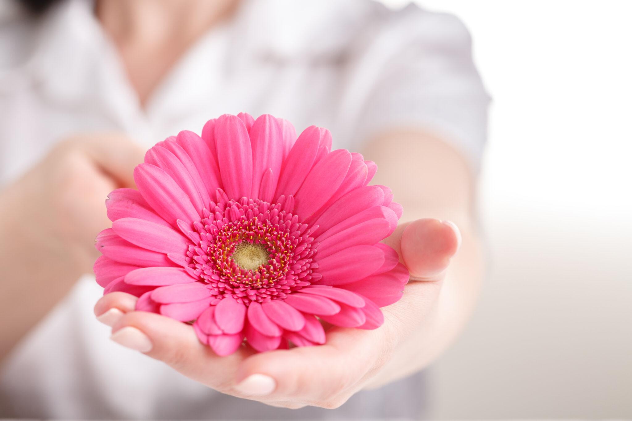 aesthetic Gynecology clinic dubai